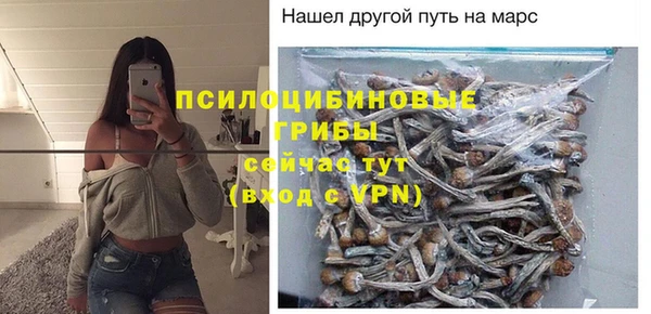 гидропоника Вяземский